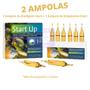 Imagem de Prodibio Start UP - Unitário ( 1 Biodigest + 1 Ammo Start )