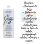 Imagem de Progressiva para cabelo crespo Grego 1 litro+Shampoo Blueken