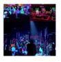Imagem de Projetor LED com Holofote Ultravioleta - Disco Light