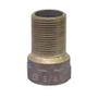 Imagem de Prolongador em Bronze 3/4" NPT MF Longo