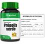 Imagem de Propolis Verde 500Mg 60Cps Fitoprime