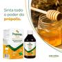 Imagem de Proposep 150ml Mel, Própolis, Vit.C, Zinco - Arte Nativa