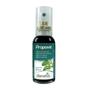 Imagem de Propovit Spray Menta Com 35ml - Bionatus