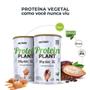 Imagem de Proteína Vegetal (Protein Plant) Sabor Caramelo Salgado - Nutrata 450g