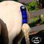 Imagem de Protetor de Rabo de Cavalo Neoprene para Viagem Boots Horse Original