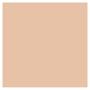 Imagem de Protetor Solar ADA TINA BB Cream FPS60