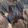 Imagem de Pulseira de Couro P0119