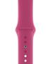 Imagem de Pulseira De Silicone Sport para Watch 42/44mm - Dragon Fruit / Jetech