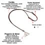 Imagem de Pulseiras Masculinas Kit C/04 CRUZ + 2 Colares Crucifixo Top de Linha