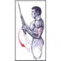 Imagem de Puxador Triceps Corda Profissional  Liveup Sports 