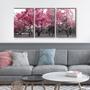 Imagem de QADR17-Kit 3 Quadros Decorativos Árvores Ipê Rosa 40x60cm