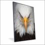 Imagem de Quadro Águia Canvas Com Vidro