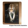 Imagem de Quadro Animais Retrato do Leão c/ Moldura Dourada e Vidro