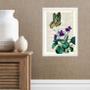 Imagem de Quadro Borboleta Com Flores - Vintage 24x18cm - com vidro
