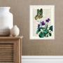 Imagem de Quadro Borboleta Com Flores - Vintage 24x18cm