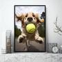 Imagem de Quadro Cachorro Com Bola De Tênis 33x24cm - com vidro