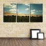 Imagem de Quadro canvas 30x66 cavernas no monte vintage