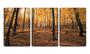 Imagem de Quadro canvas 30x66 folhas secas na floresta