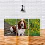 Imagem de Quadro canvas 30x66 olha de beagle