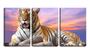 Imagem de Quadro canvas 30x66 tigre deitado boca aberta