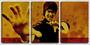 Imagem de Quadro canvas 45x96 arte bruce lee mãos abertas