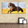Imagem de Quadro canvas 45x96 cavalo crina trançada