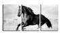 Imagem de Quadro canvas 45x96 cavalo de crina trançada pb