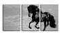 Imagem de Quadro canvas 45x96 cavalo negro céu pb