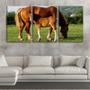 Imagem de Quadro canvas 45x96 filhote de cavalo no campo