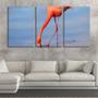 Imagem de Quadro canvas 45x96 flamingo se alimentando no lago