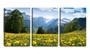 Imagem de Quadro canvas 45x96 flores amarelas na montanha