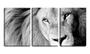 Imagem de Quadro canvas 45x96 juba de leão preto e branco