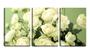 Imagem de Quadro canvas 45x96 pequenas flores vintages