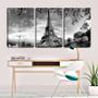 Imagem de Quadro canvas 45x96 torre Eiffel entre folhas pb