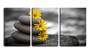 Imagem de Quadro canvas 45x96 três flores em três pedras