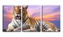 Imagem de Quadro canvas 55x110 dentes grande de tigre deitado