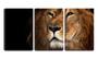 Imagem de Quadro canvas 55x110 face brava de leão funcho preto
