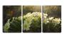 Imagem de Quadro canvas 55x110 pequenas flores brancas