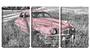 Imagem de Quadro canvas 68x126 carro velho sobre o mato pb