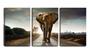 Imagem de Quadro canvas 68x126 elefante na estrada de terra