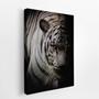 Imagem de Quadro Canvas Tigre Branco Foto Animal Decorativo 60X40Cm