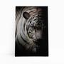 Imagem de Quadro Canvas Tigre Branco Foto Animal Decorativo 60X40Cm