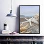 Imagem de Quadro Coleção Praia Soft - Estrela Do Mar 24X18Cm
