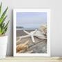 Imagem de Quadro Coleção Praia Soft - Estrela Do Mar 33x24cm - com vidro