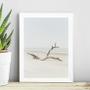 Imagem de Quadro Coleção Praia Soft - Tronco 45X34Cm
