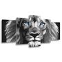 Quadro Decorativo 129x63 Quarto Leão Luxo P & B Olhos Azuis - Mv Decor Imagem de Quadro Decorativo 129x63 Quarto Leão Luxo P & B Olhos Azuis