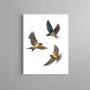 Imagem de Quadro Decorativo 3 Andorinhas Voando 45X34Cm - Com Vidro