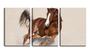 Imagem de Quadro Decorativo 30x66 cavalo correndo na areia