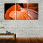 Imagem de Quadro Decorativo 30x66 flamingo entre penas