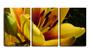 Imagem de Quadro Decorativo 30x66 flor amarela interior